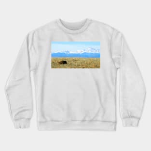 Lone Buffalo watching the Rocky Mountains Crewneck Sweatshirt